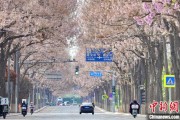 宁津共建“花园城市” 北京这场议政会“百花齐放”