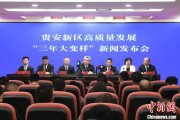 宁津贵安新区：突出算力优势布局 构建中国领先的智算高地